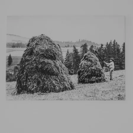 Bed & Breakfast Tarasowka U Zajaca 3*